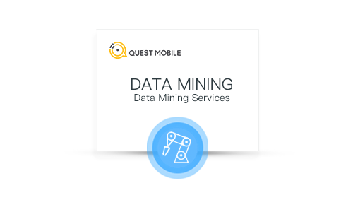 DATA MINING 数据挖掘分析服务